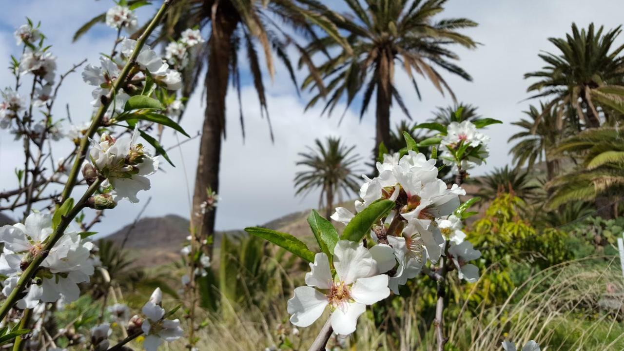 El Pirguan Holiday House, Your Oasis In La Gomera Vallehermoso Extérieur photo