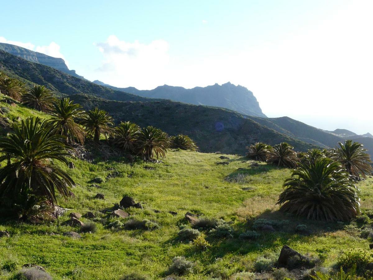 El Pirguan Holiday House, Your Oasis In La Gomera Vallehermoso Extérieur photo