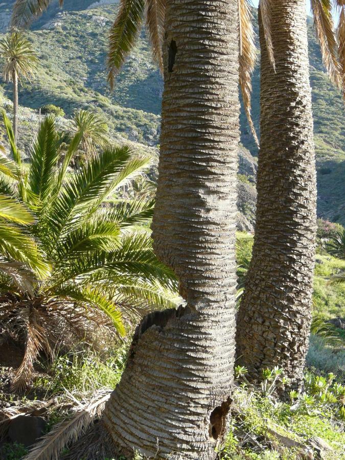 El Pirguan Holiday House, Your Oasis In La Gomera Vallehermoso Extérieur photo